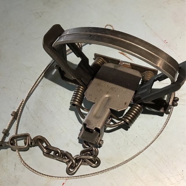 #2 Montgomery Dogless Coil Spring Trap